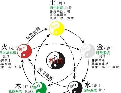 五行 算命|五行查询